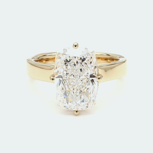 IGI Certified Lab-Created Diamond Cushion Hidden Halo Euro Shank Ring F VS)